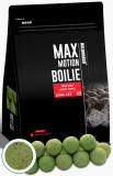 Haldorado - Boilies Max Motion Boilie Long Life 24mm, 800g - Green Force