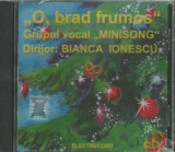 O brad frumos | Grupul vocal Minisong, Bianca Ionescu, electrecord