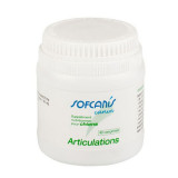 Cumpara ieftin Sofcanis Articulation Caine, 40 comprimate