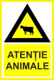Placuta atentie animale