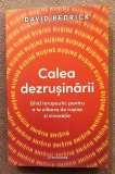 Calea dezrusinarii. Ghid terapeutic pentru a te elibera de rusine si vinovatie. Editura Bookzone, 2025 - David Bedrick