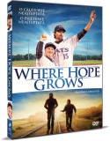 Pastreaza speranta / Where Hope Grows | Chris Dowling