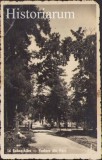 HST CP303 Carte poștală Sebeș Alba Vedere din parc, Circulata, Printata