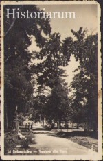 HST CP303 Carte poștală Sebeș Alba Vedere din parc