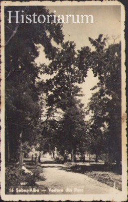 HST CP303 Carte poștală Sebeș Alba Vedere din parc foto