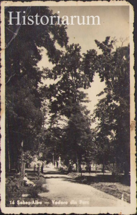 HST CP303 Carte poștală Sebeș Alba Vedere din parc
