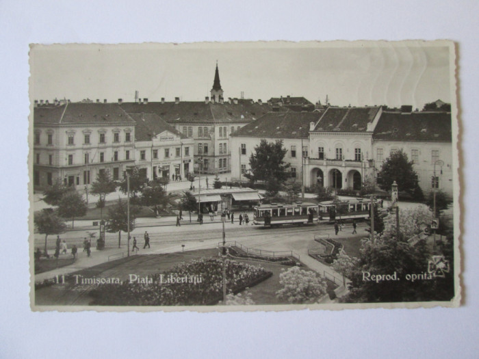 Carte postala foto Timisoara-Piata Libertatii,tramvai,magazine,circulata 1941