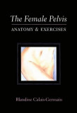 The Female Pelvis: Anatomy &amp; Exercises