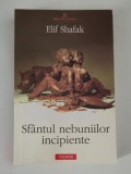 Elif Shafak Sfantul nebuniilor incipiente