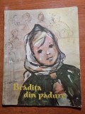 Bradita din Padure - Carte Copii 1958 - Editie Veche, Ilustratii Originale - Stare Buna