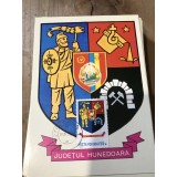 CPIF Stema cu timbru al judetului Hunedoara