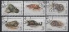 MADAGASCAR , MALAGASY 1992 - moluste , MELCI ,TIMBRE STAMPILATE, Fauna, Nestampilat