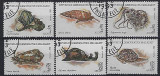 MADAGASCAR , MALAGASY 1992 - moluste , MELCI ,TIMBRE STAMPILATE, Fauna, Nestampilat
