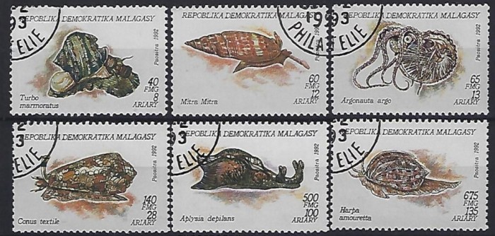 MADAGASCAR , MALAGASY 1992 - moluste , MELCI ,TIMBRE STAMPILATE