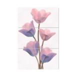 Decor faianta baie / bucatarie Spectra Samira, 25 x 50 cm, lila, lucios, set 3 bucati