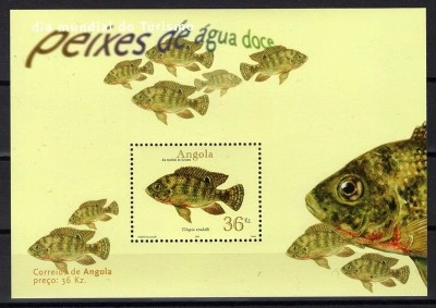 Angola 2001 - Pești, fauna, colita neuzata foto