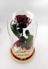 Trandafir criogenat natural Wide Flowers mare, pe pat de petale, in cupola mare de sticla foto
