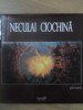 PICTURA MATERIE, TIMP, SPATIU (CU DEDICATIA AUTORULUI)-NECULAI CIOCHINA-232488