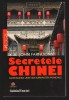 C10012 - SECRETELE CHINEI - JOHN FARNDON