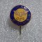 insigna aniv. CFR Simeria