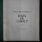 DUMITRU POPESCU - RAZA DE COBALT