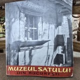 Muzeul Satului din Bucuresti - Gheorghe Focsa