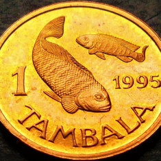 Moneda exotica 1 TAMBALA - Republica MALAWI, anul 1995 * cod 5085 B = UNC