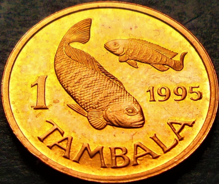 Moneda exotica 1 TAMBALA - Republica MALAWI, anul 1995 * cod 5085 B = UNC