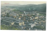 2718 - RESITA, Caras-Severin, Panorama, Romania - old postcard - unused, Necirculata, Printata