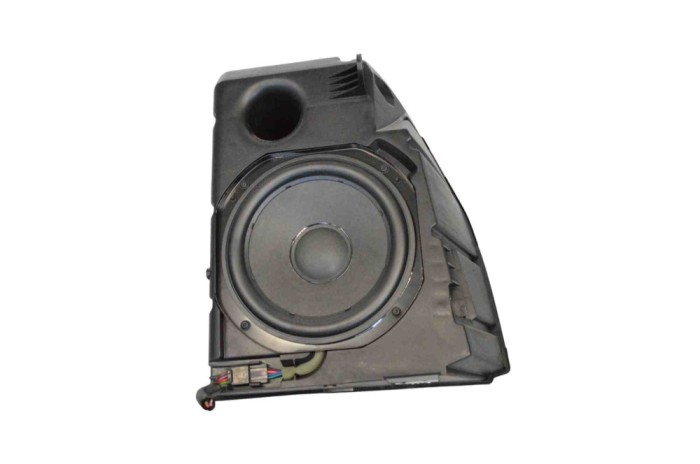 Subwoofer TESLA MODEL 3 2020 OEM: 1079747-00-D