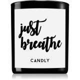 Candly &amp; Co. Just Breathe lum&acirc;nare parfumată 250 g