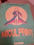 Micul print - Antoine de Saint Exupery