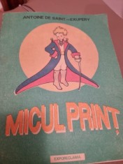 Micul print - Antoine de Saint Exupery