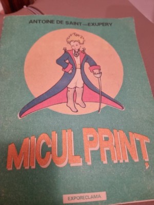 Micul print - Antoine de Saint Exupery foto