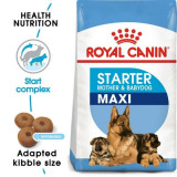 ROYAL CANIN MAXI STARTER MOTHER AND BABY DOG 15 kg