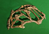 Piesă Mega Bloks Set Pirații din Caraibe Pirates of the Caribbean, segment cușcă din oase a tribului de canibali Pelegostos, Jack Sparrow, Zizzle