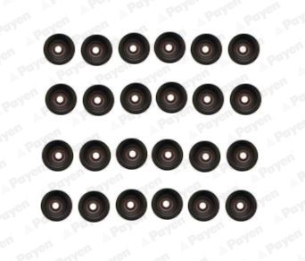 PAYEN HR5107 Set garnituri, ax supape foto