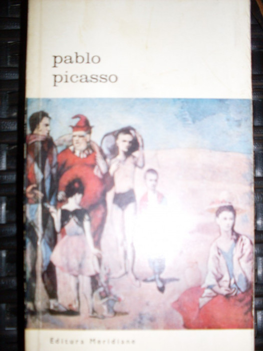 Pablo Picasso - Antonina Vallentin ,549322