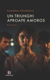 Un triunghi aproape amoros - Ramona Paunescu - Creator