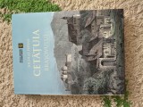 Nicolae Pepene - Cetatuia Brasovului