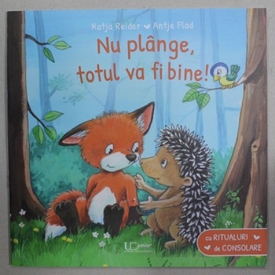 NU PLANGE , TOTUL VA FI BINE ! de KATJA REIDER , ilustratii de ANTJE FLAD , 2022 foto