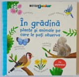 IN GRADINA , PLANTE SI ANIMALE PE CARE LE POTI OBSERVA , text de KATE NOLAN , ilustratii de STEPHANIE FIZER COLEMAN , 2025