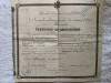 Diploma de Absolvire Scoala Elementara de Comert , Regatul Romaniei