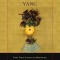 Holding Yin, Embracing Yang: Three Taoist Classics on Meditation, Breath Regulation, Sexual Yoga, and Thecirculation of Internal Energy