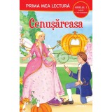 Cenusareasa (Nivelul 1 Carte cu pictograme)