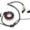 Stator aprindere 12 bobine Vespa Lx 125 150 10-14, echivalent oem: B016543 Cod Produs: MX_NEW AI22616
