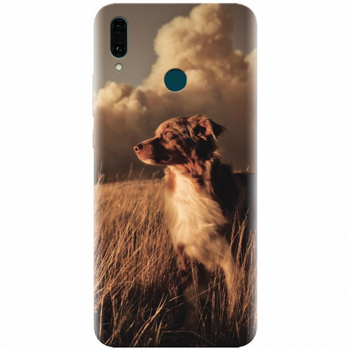 Husa silicon pentru Huawei Y9 2019, Alone Dog Animal In Grass