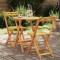 Set Bistro 3 Piese Pliabil Lemn Solid Acacia