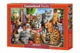 Puzzle 2000 piese House of Cats, castorland