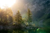 Tablou Canvas, "Iluminarea dimineții &icirc;n pădurea montană", Pădure, Apus, Lumină, Reflexie, Apă, Munte, Tranquilitate, Natură, Verde, Seninătate, 39 x 2